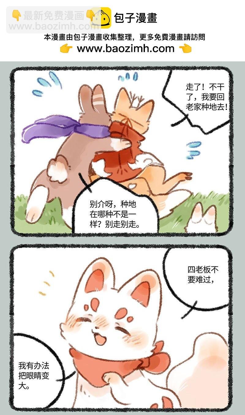 235 眼睛放大术