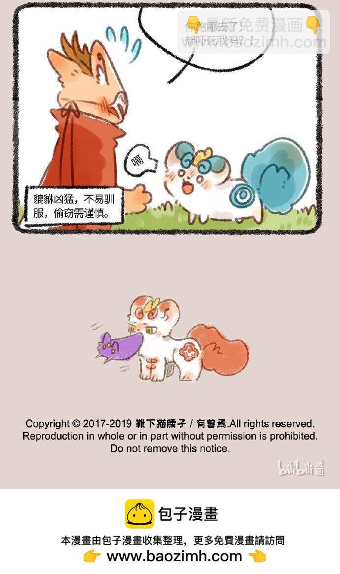 243 众