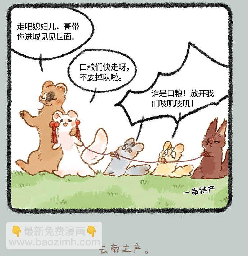 247 警惕黄鼠狼