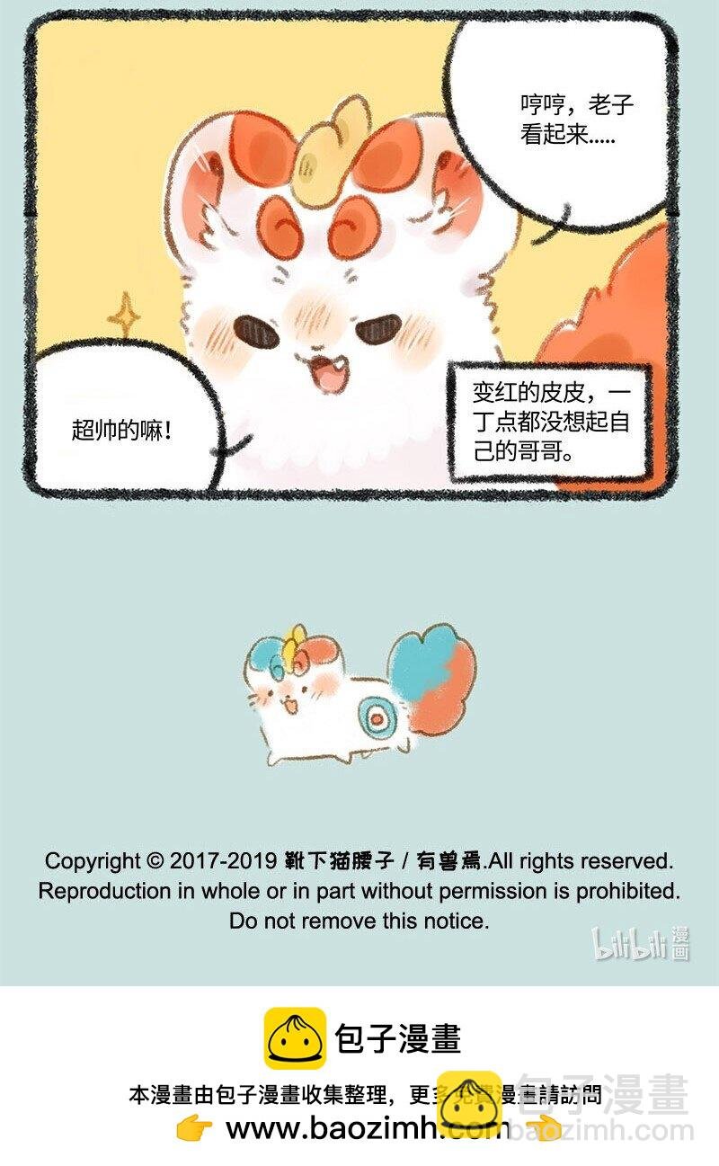 265 红色的皮皮