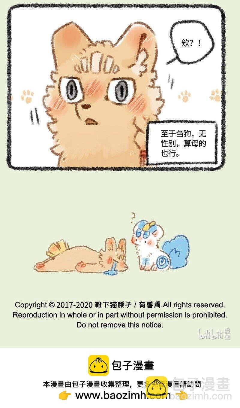 294 他她