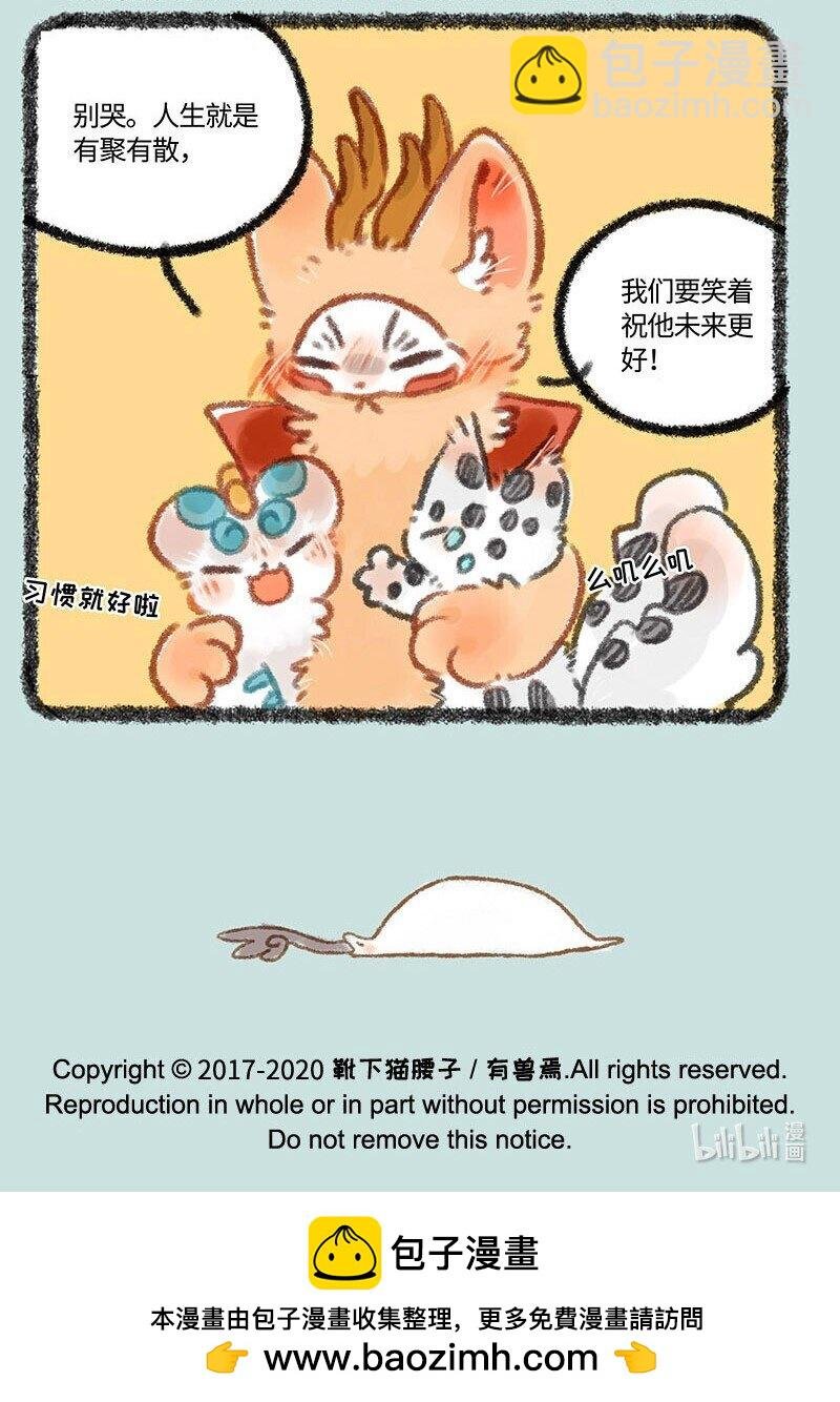 322 长大终离家