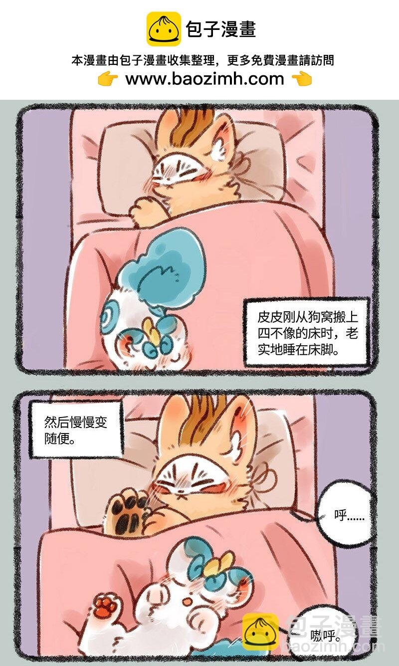 372 睡觉的位置