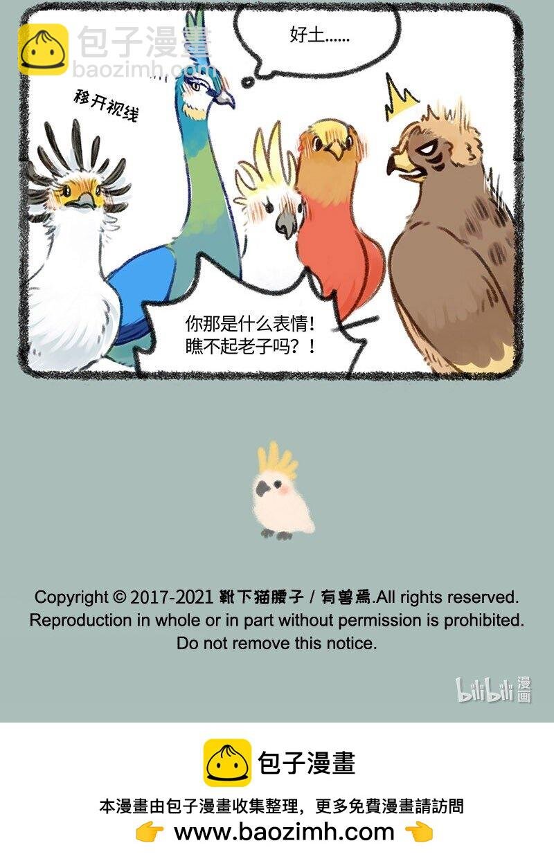 411 百鸟朝凤新年会