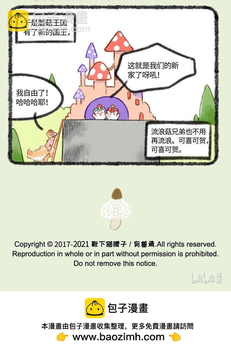 431 蘑菇传说