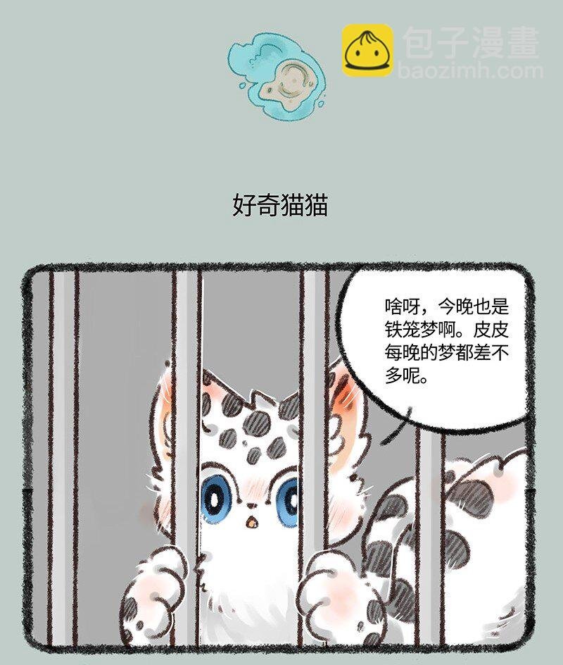 498 核桃的新能力
