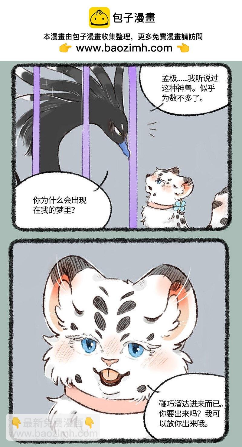 528 孟极篇之棉桃筑梦