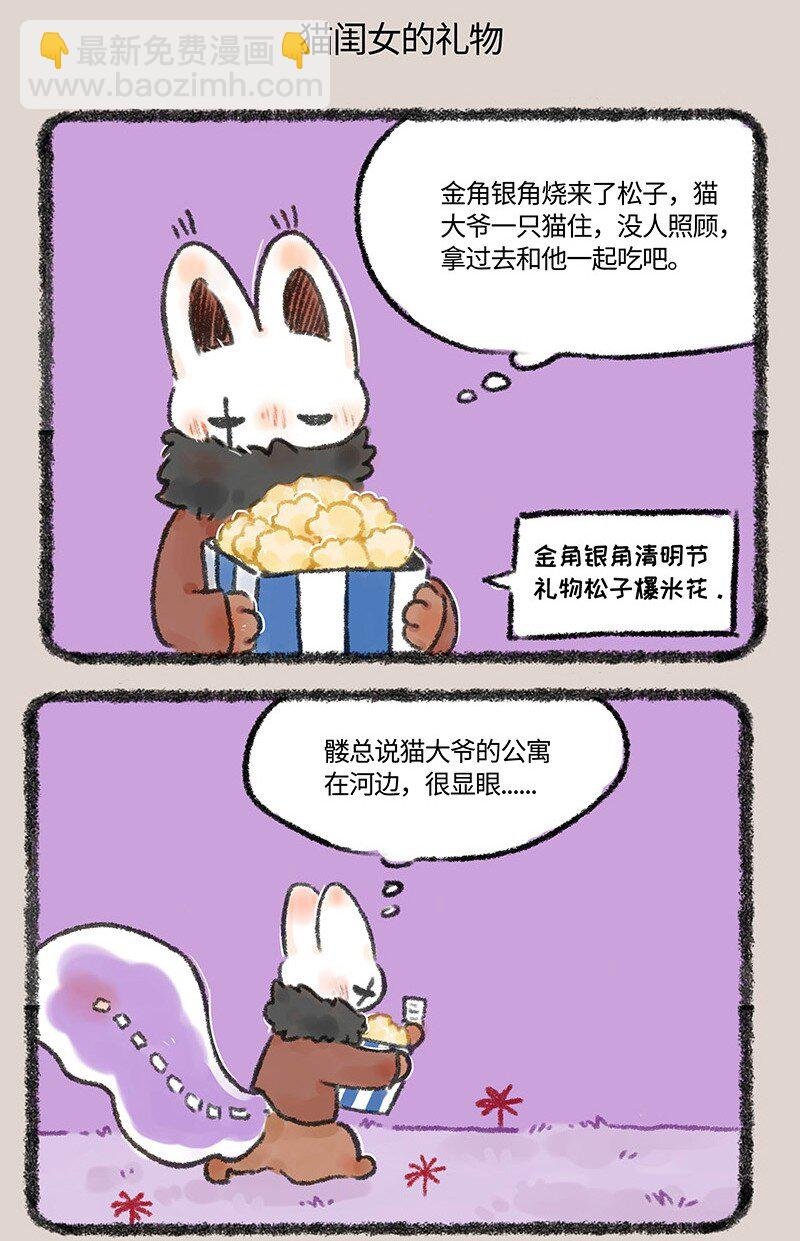 593 浇花的猫大爷
