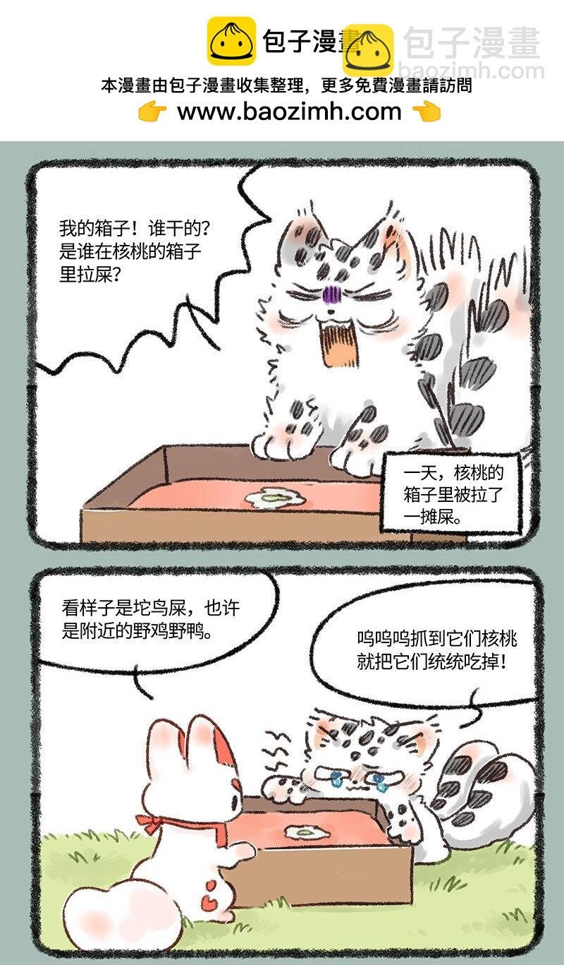 594 茶鸭自有茶鸭报