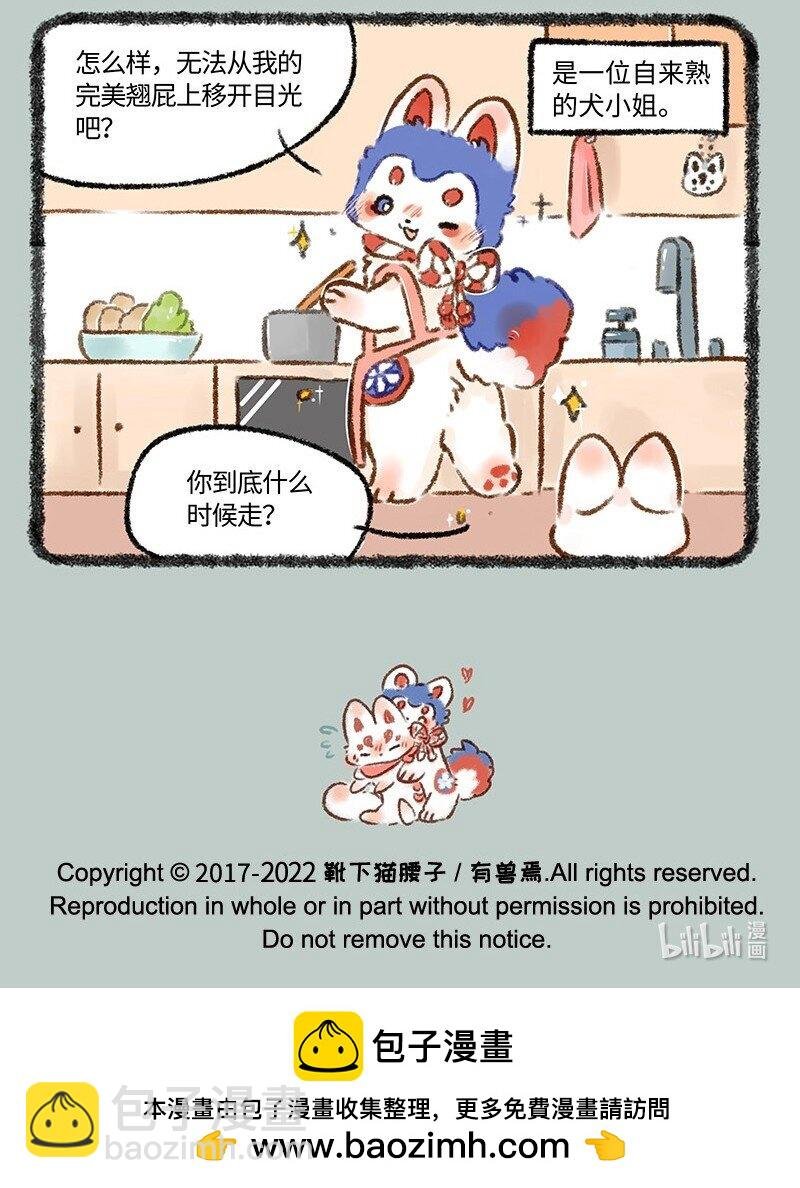 597 犬张子小姐