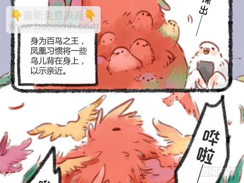 霸道明星小粉丝