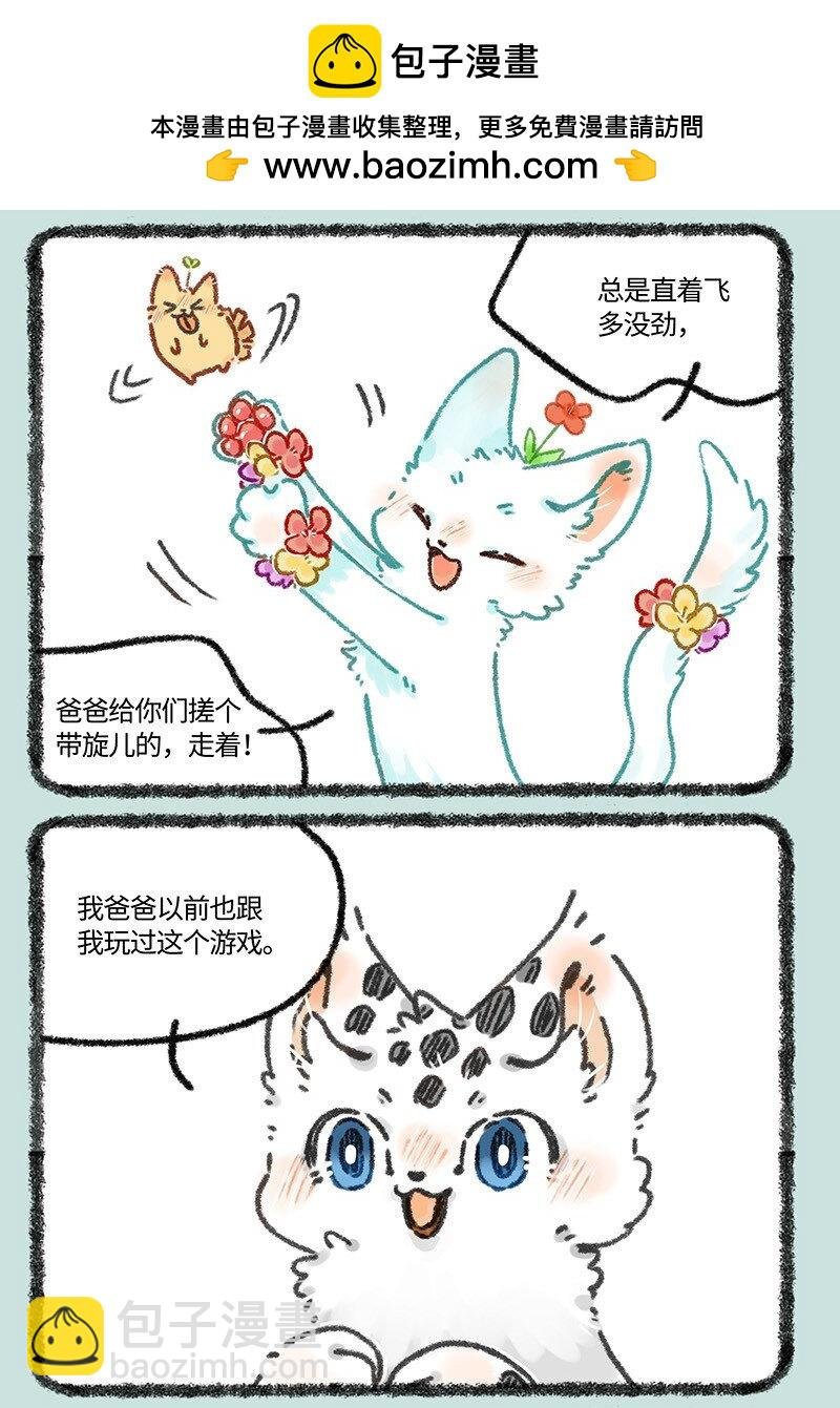 627 核桃的爸爸妈妈