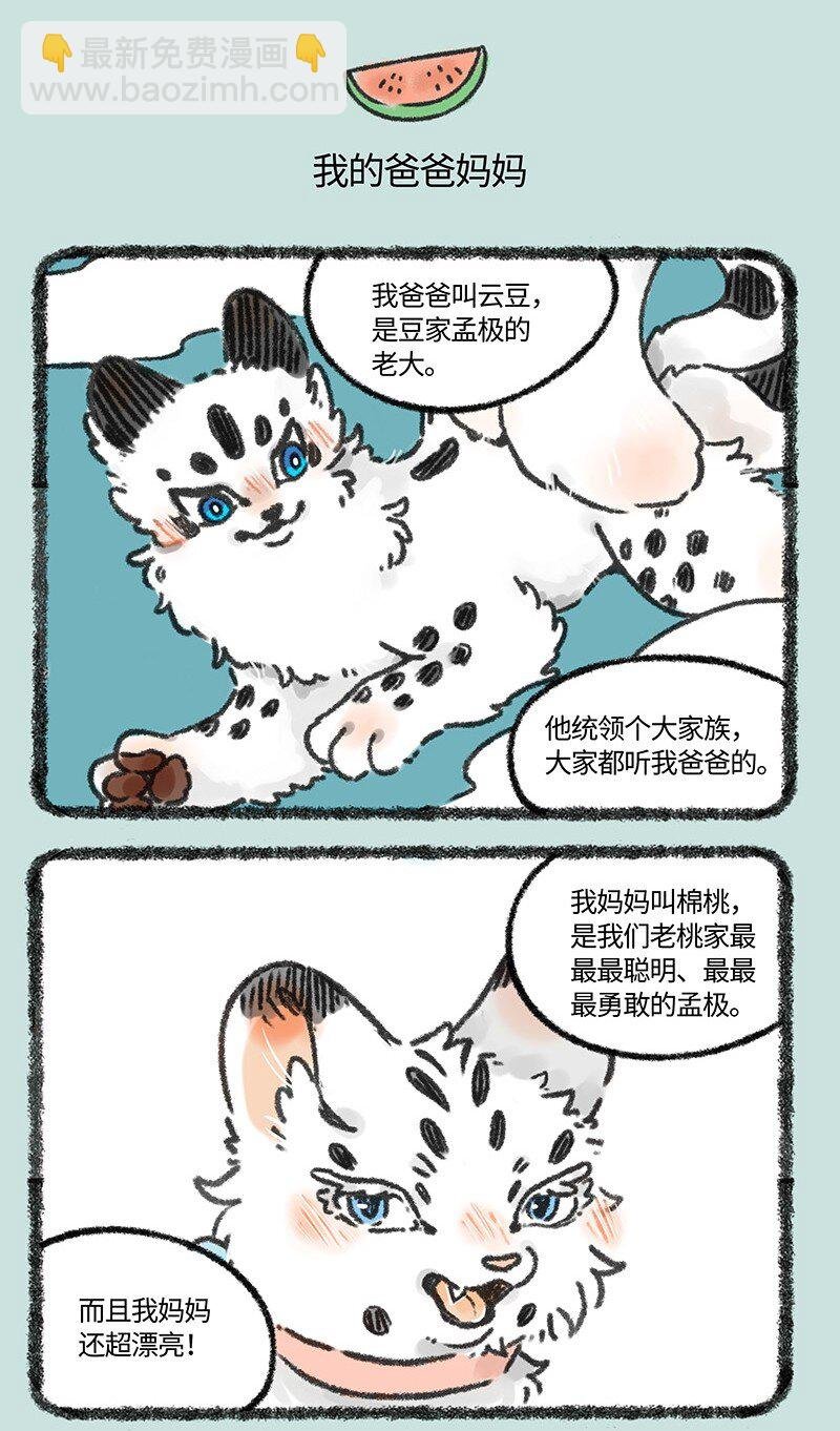 627 核桃的爸爸妈妈
