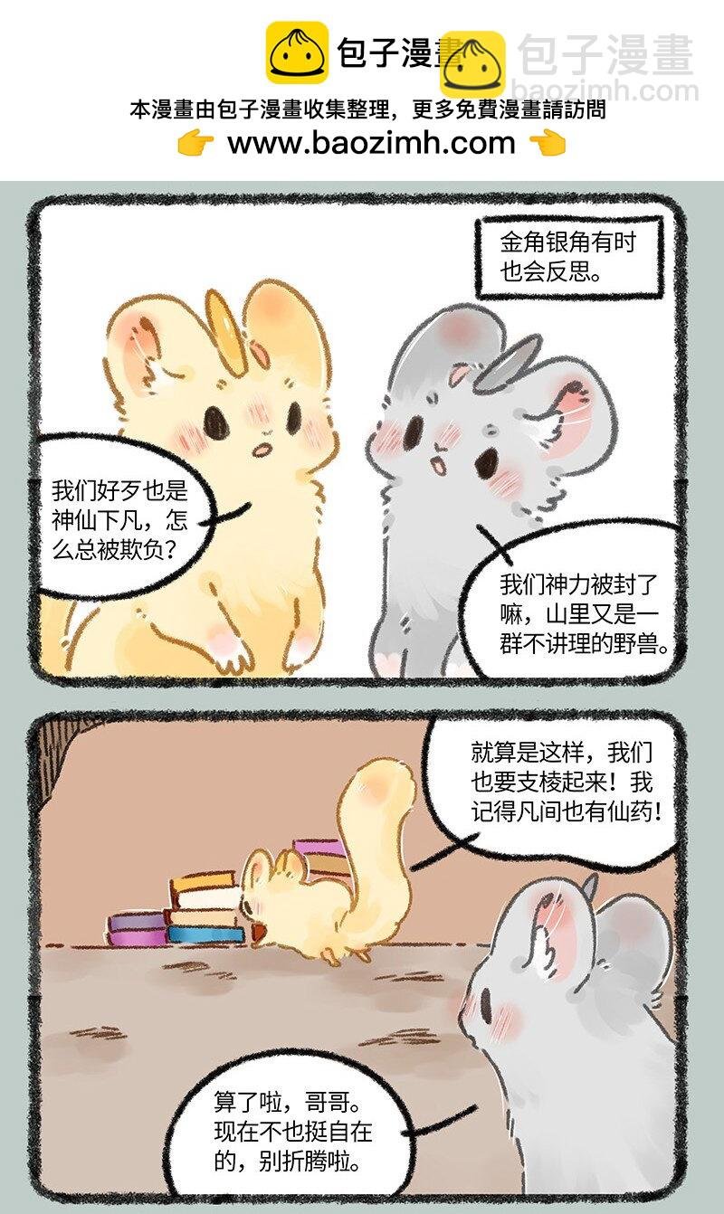 655 无敌菇
