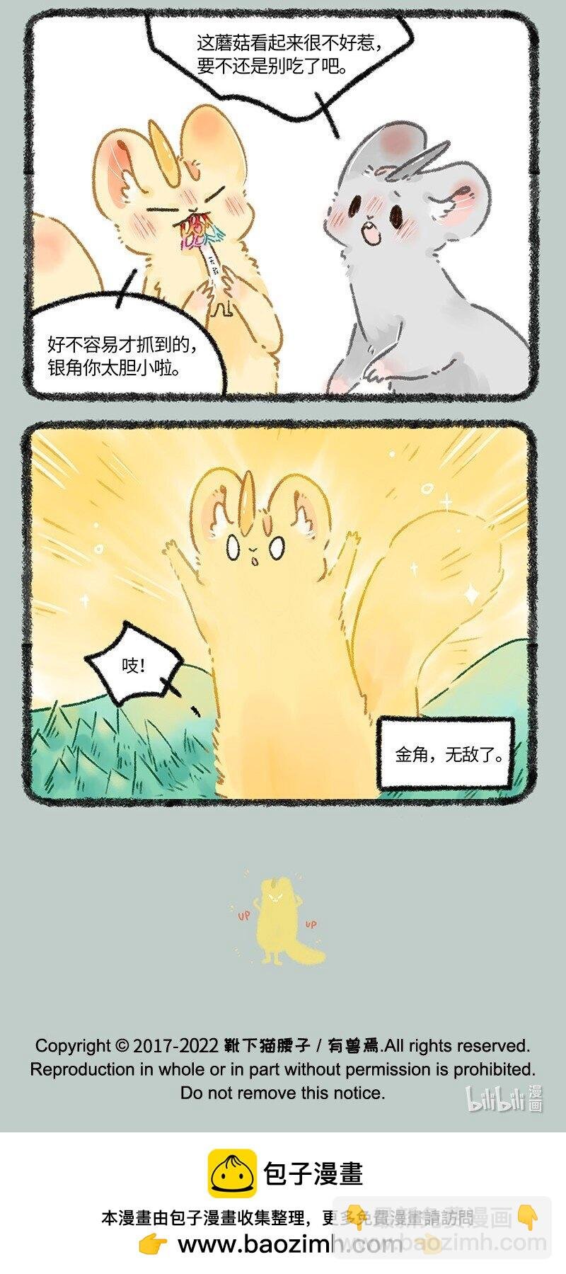 655 无敌菇
