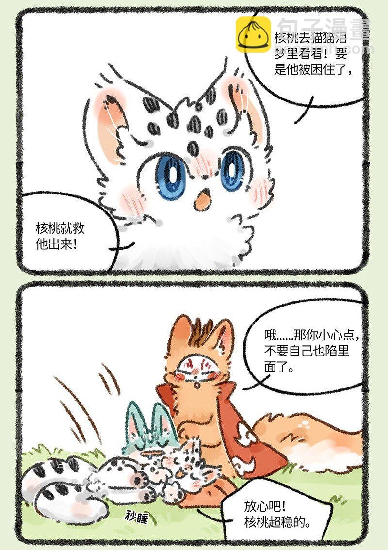 664 这种猫精埋了吧