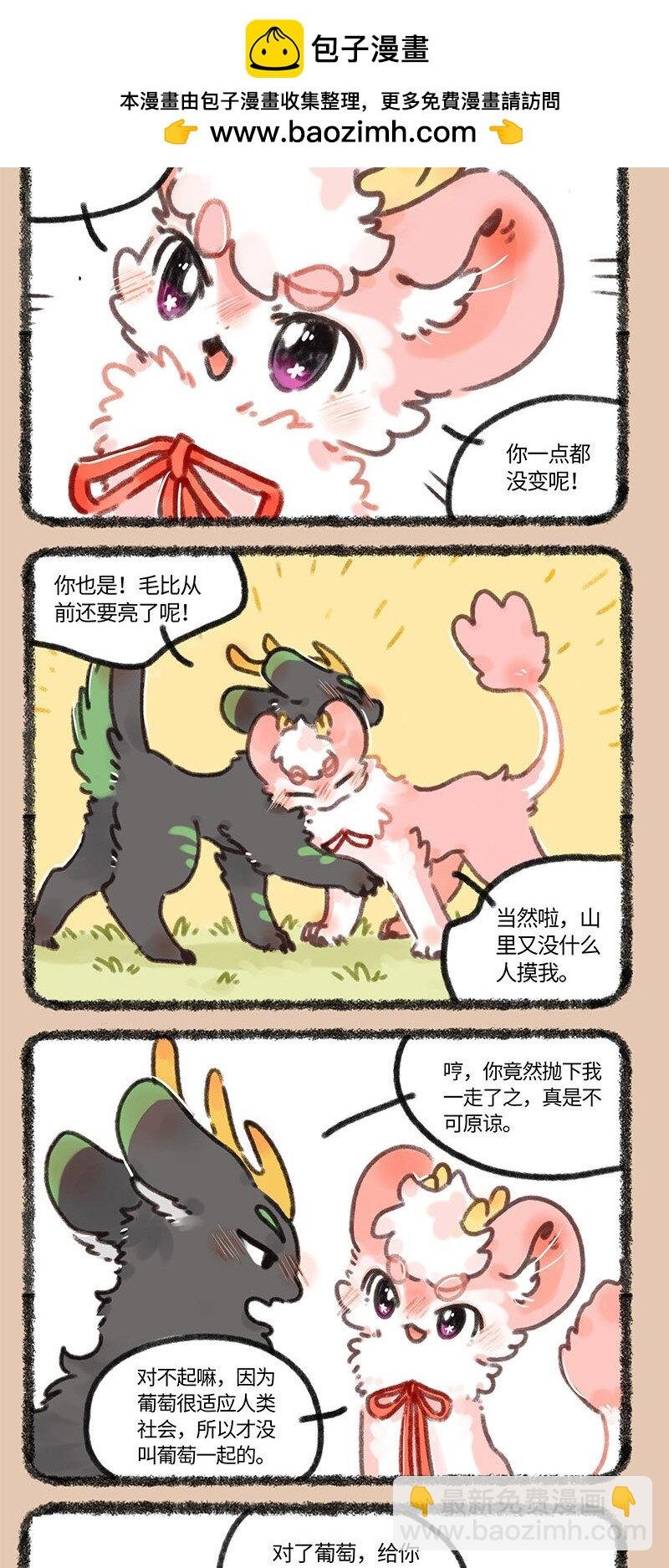 678 葡萄来啦