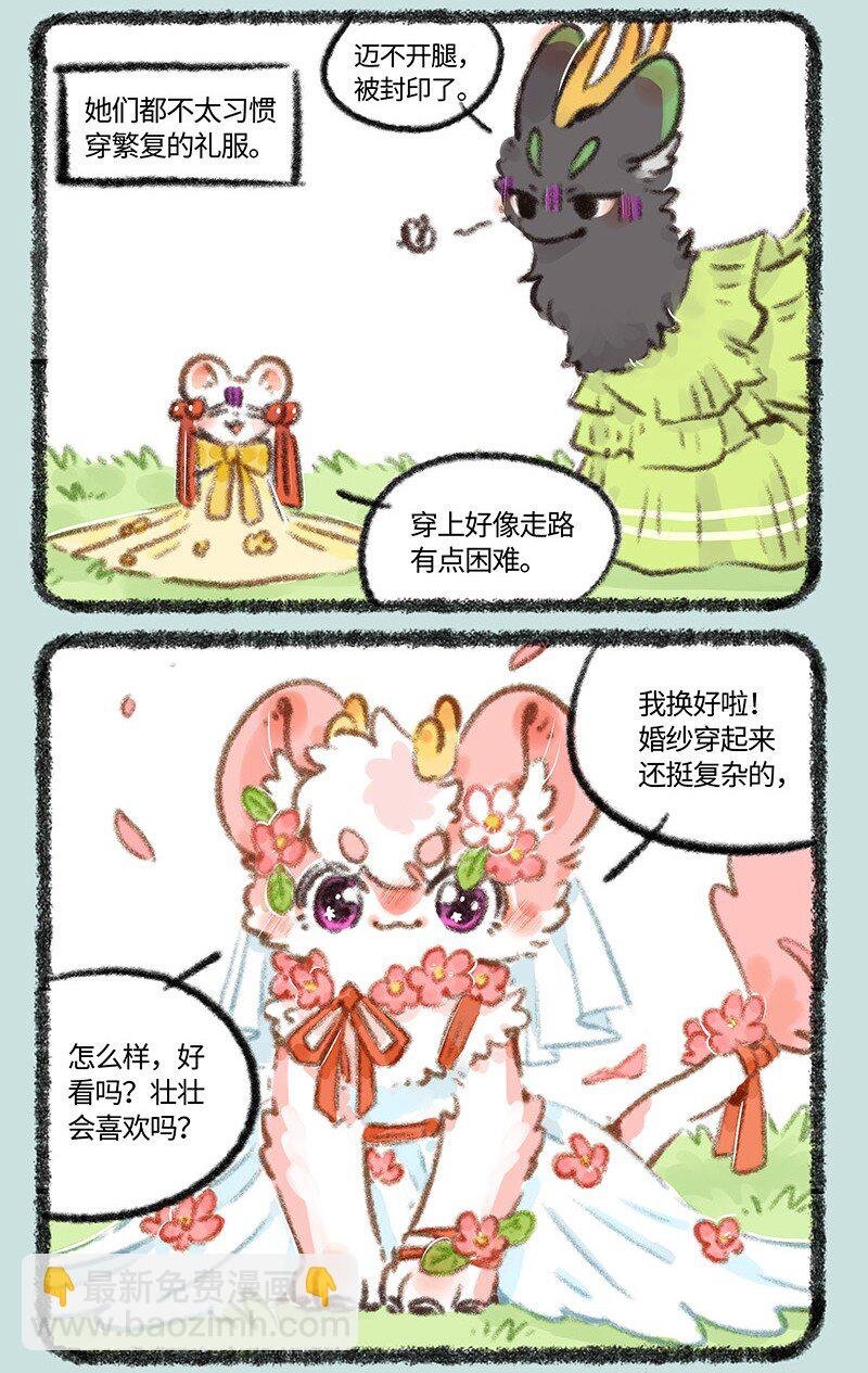 704 婚礼前的准备