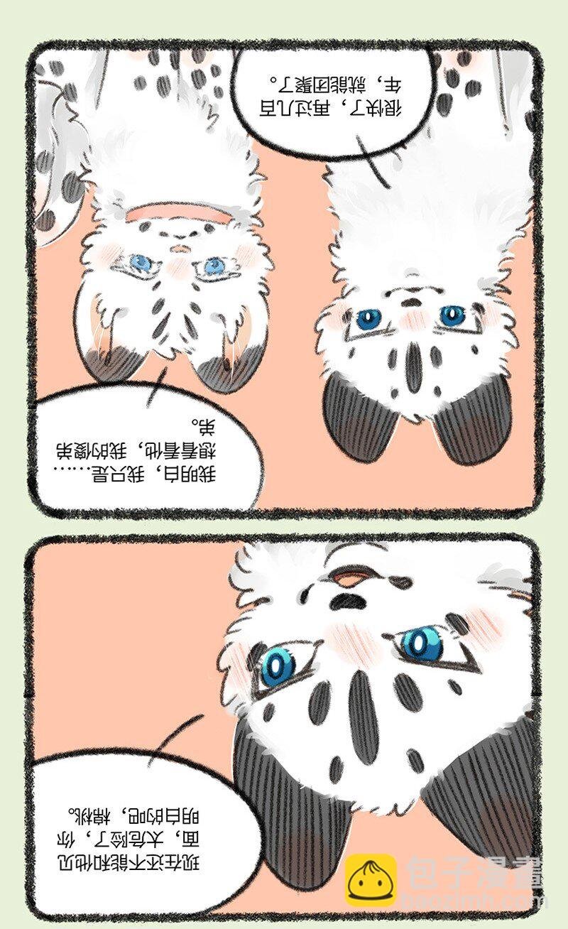 735 阿姐你到底在哪