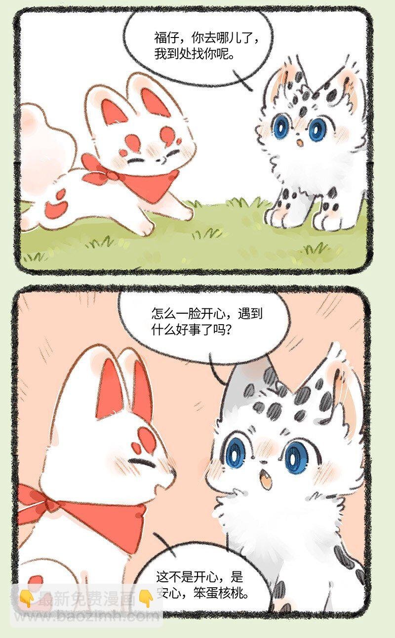 741 狐狸与豆腐