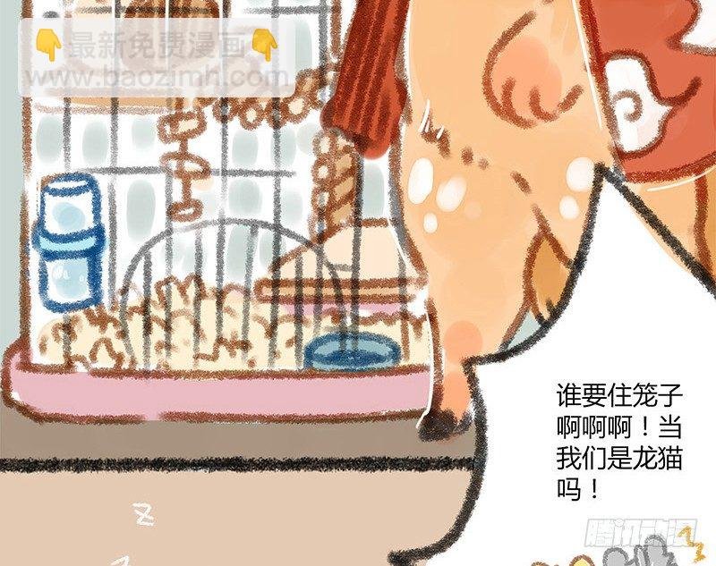 我本布衣