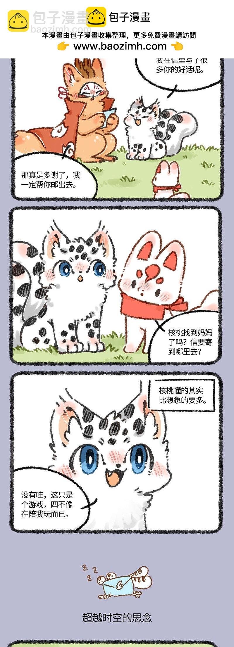 606 给妈妈的信