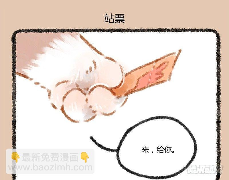爱豆的票