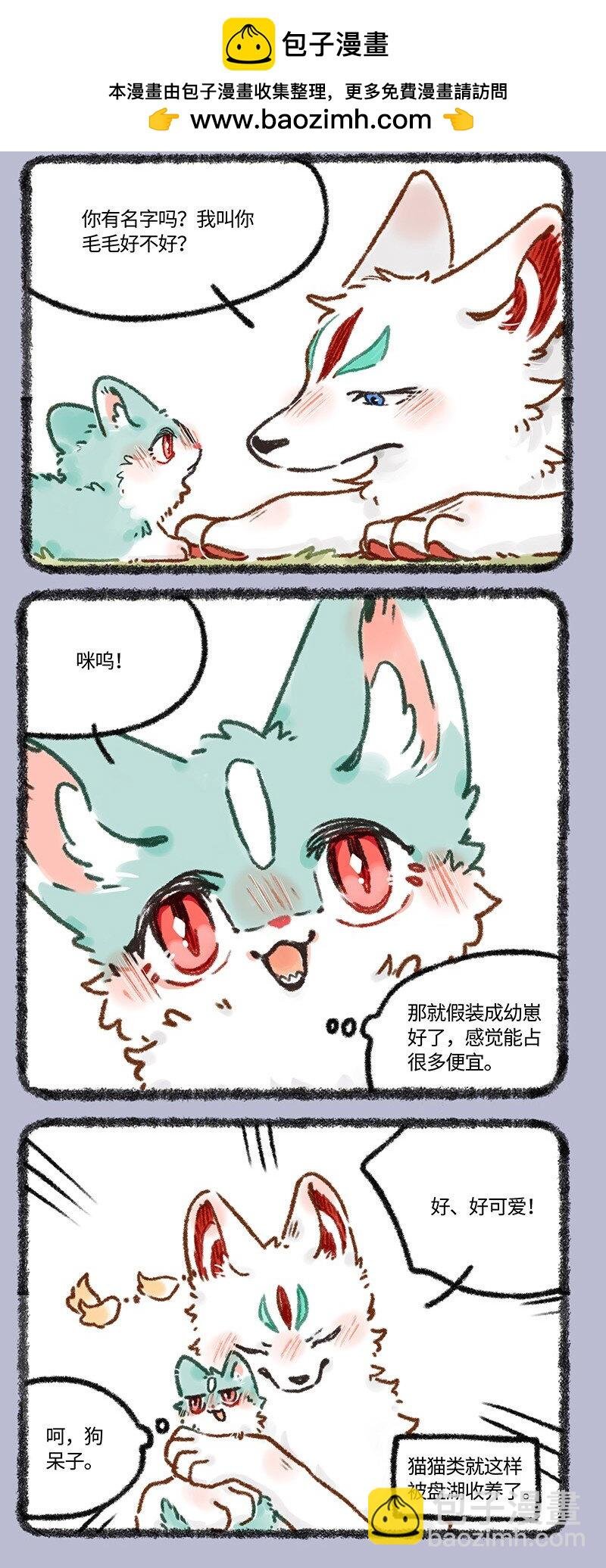 622 猫猫的骗局