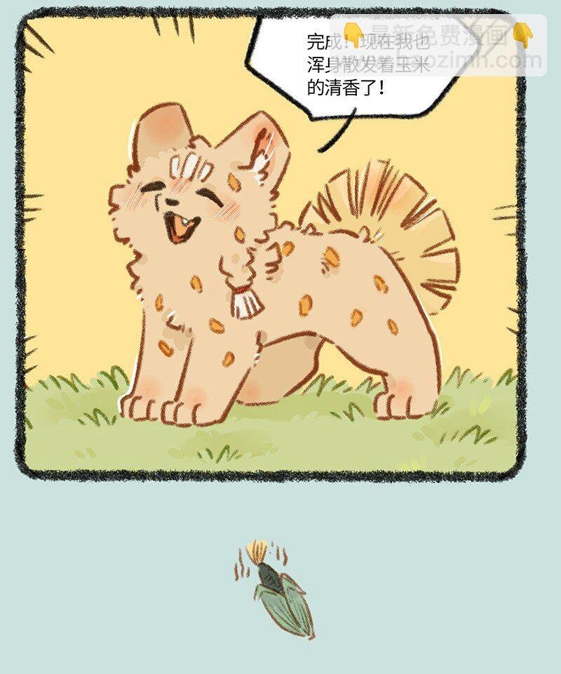 795 刍狗新时尚
