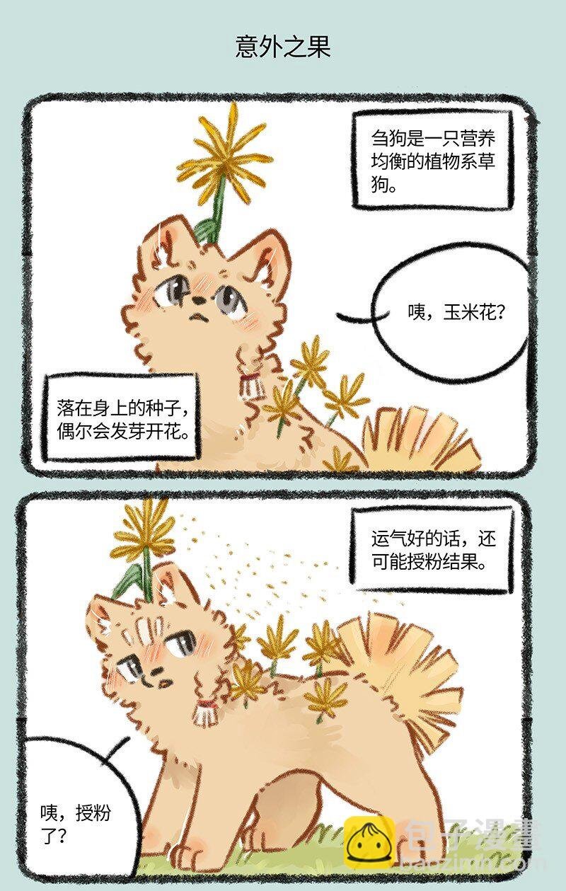 795 刍狗新时尚