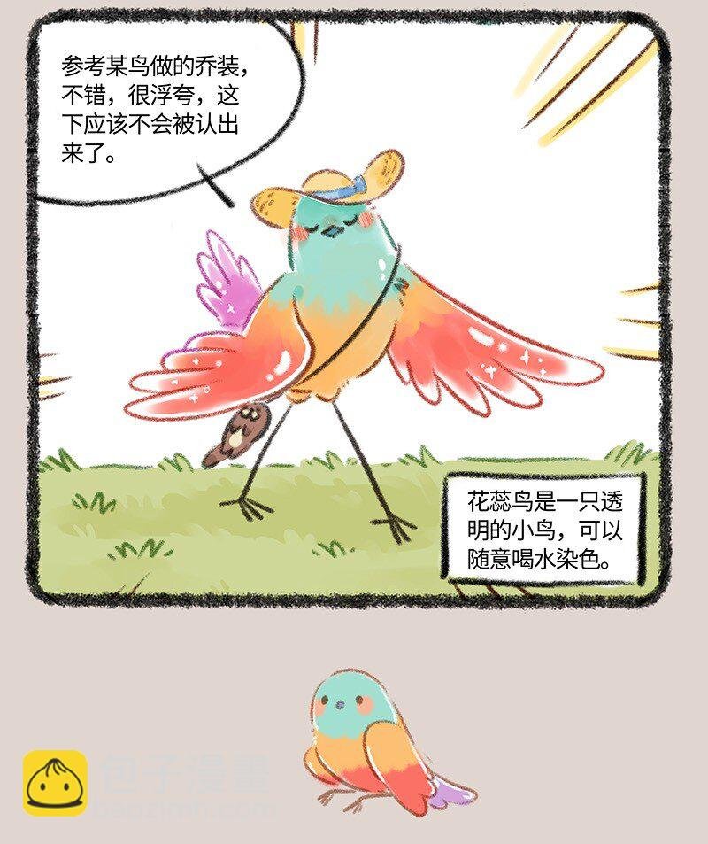 805 花蕊鸟的伪装