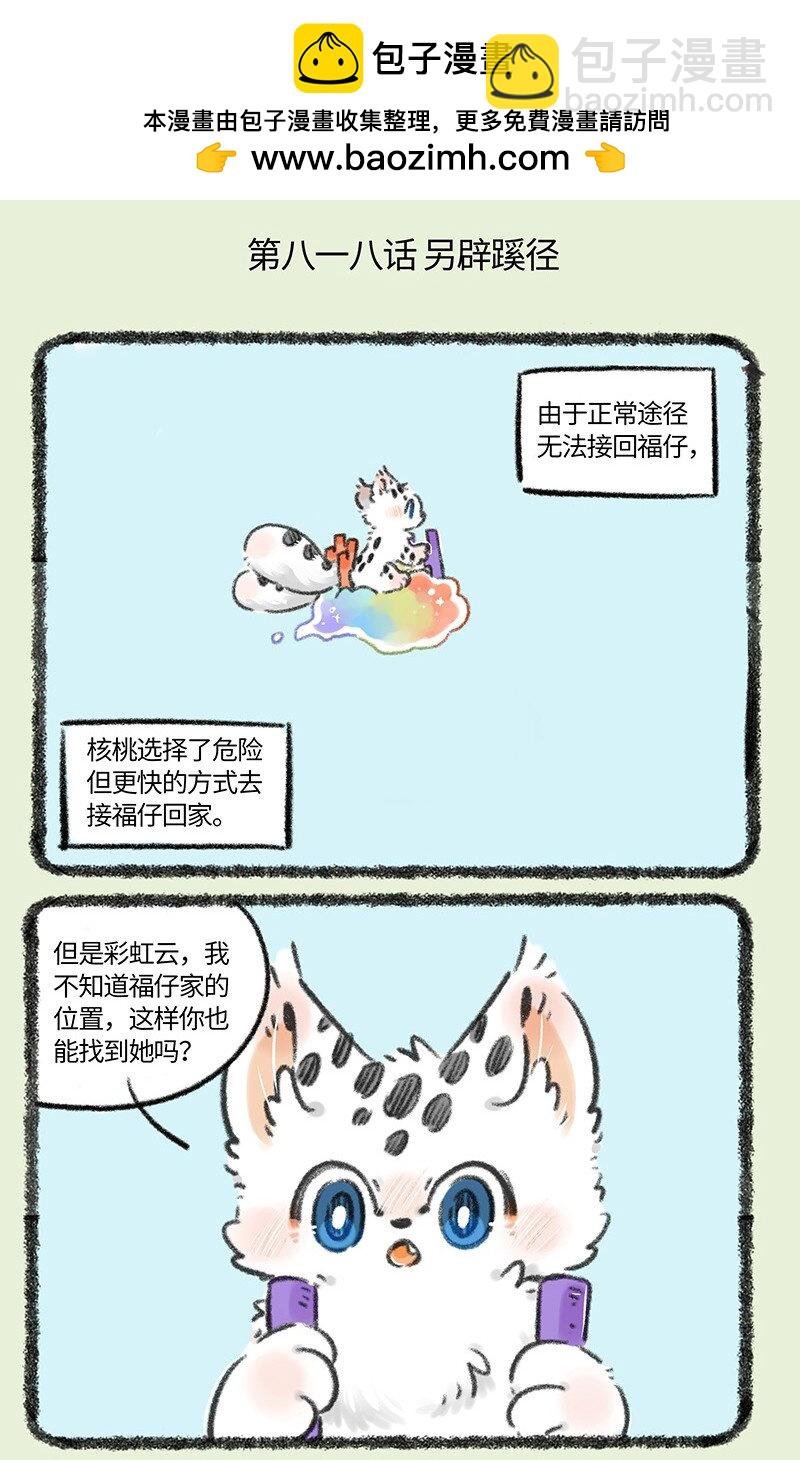 818 勇敢猫猫不怕困难