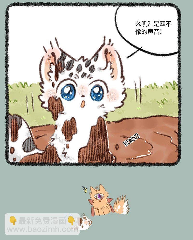 844 寻找喇叭花