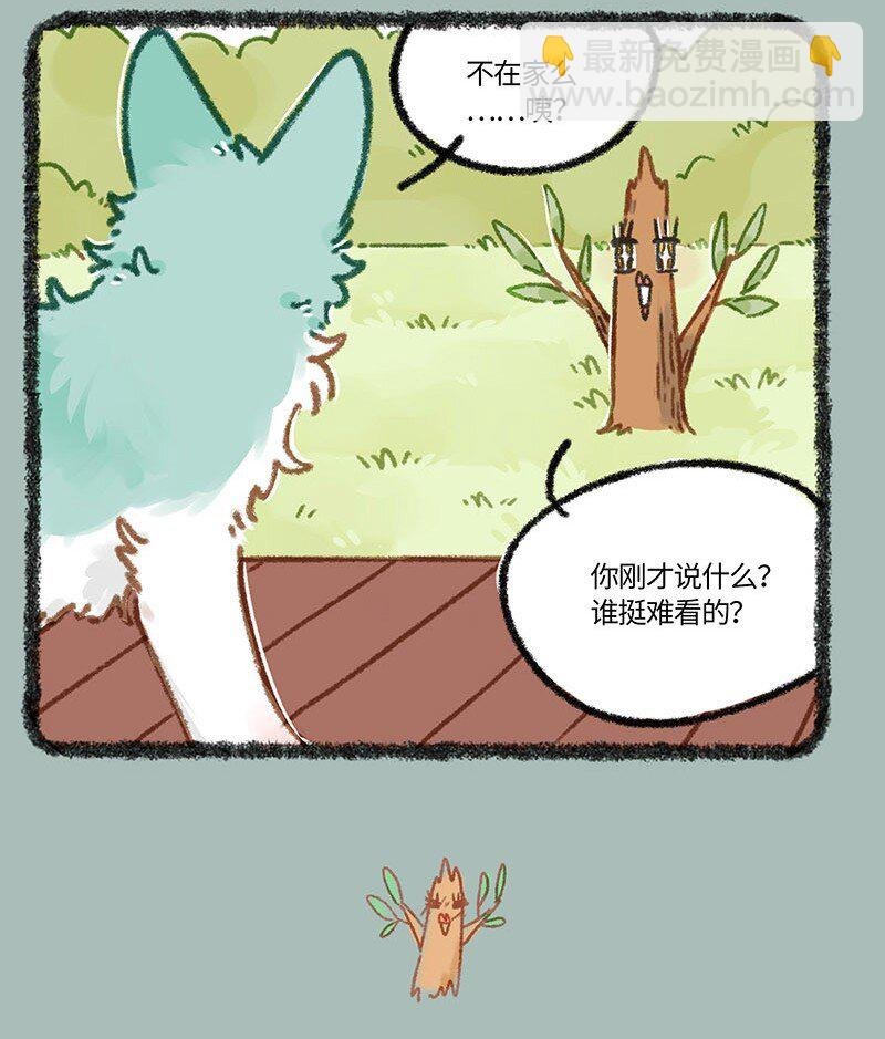 850 神奇的树树
