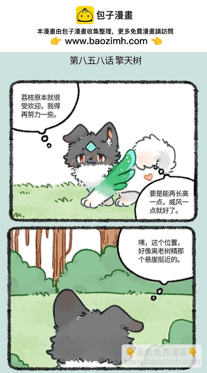 858 壮壮与擎天树