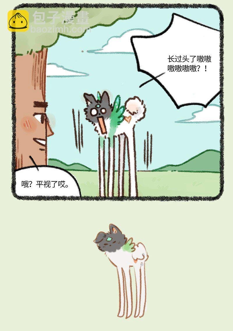 859 树的审美