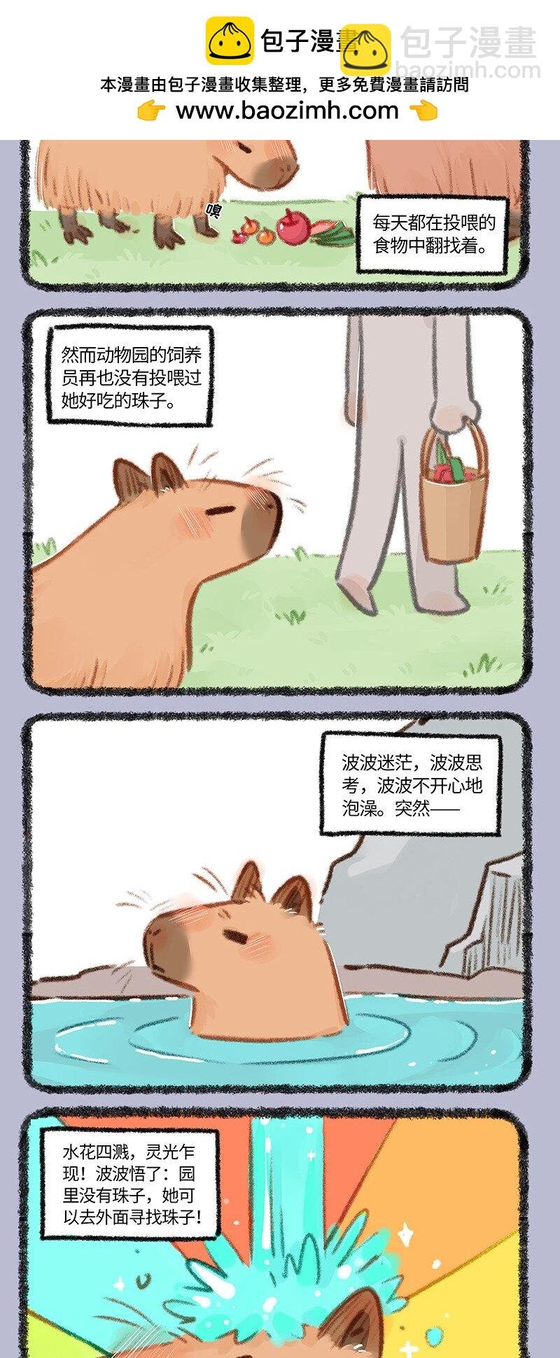 861 波波的旅途