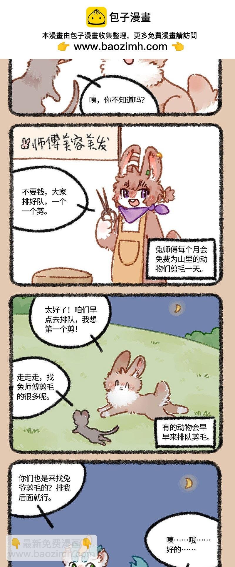 872 兔美心善