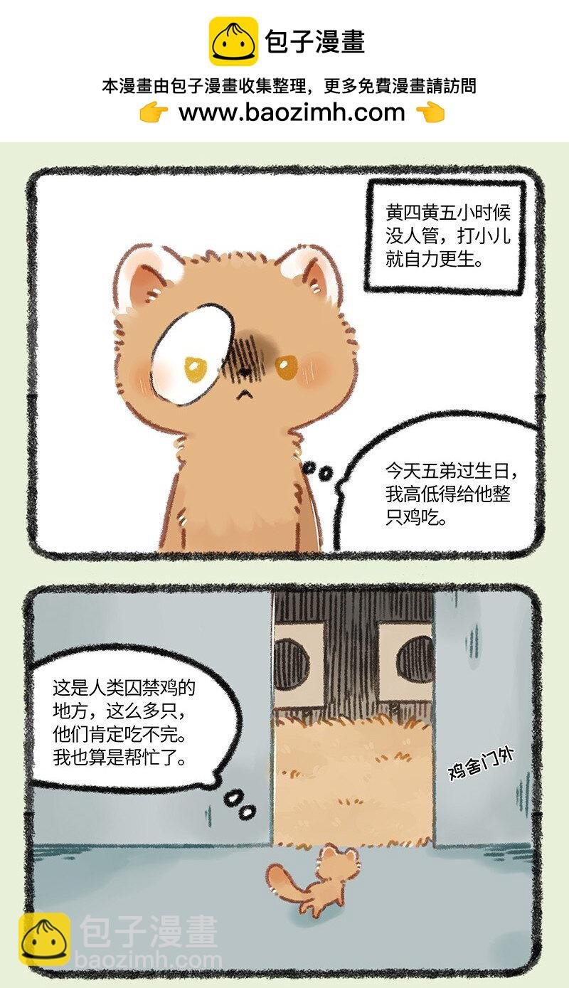 956 五弟，生日快乐