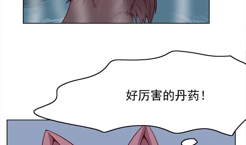 第219话 蜕变的小狐狸