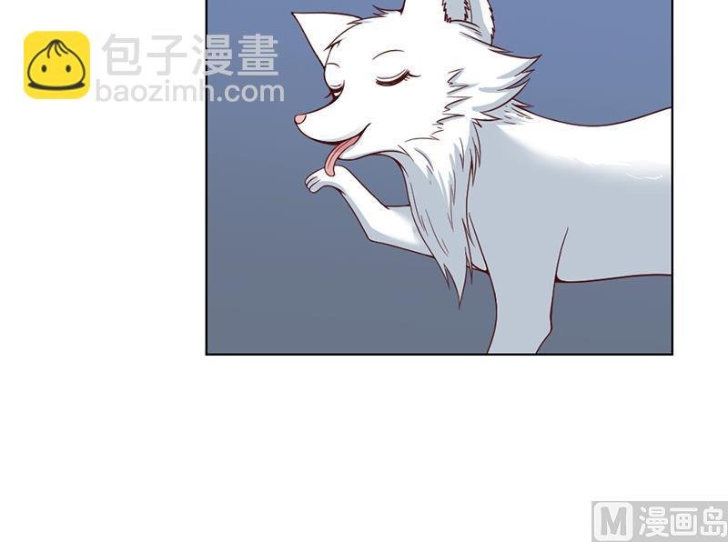 第219话 蜕变的小狐狸
