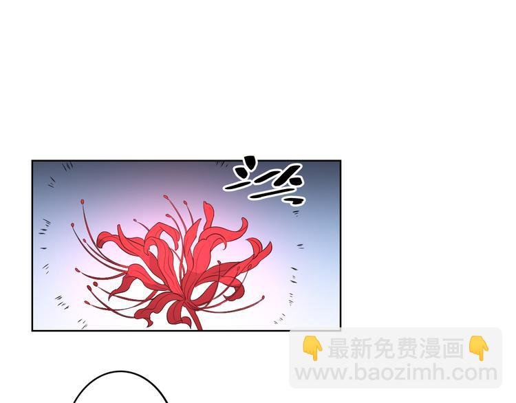 第24话 曼珠沙华