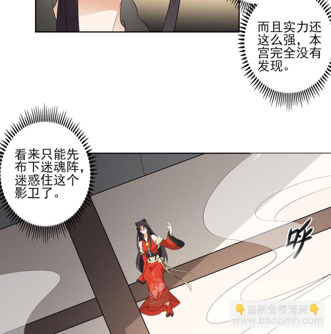 第48话 替身影卫