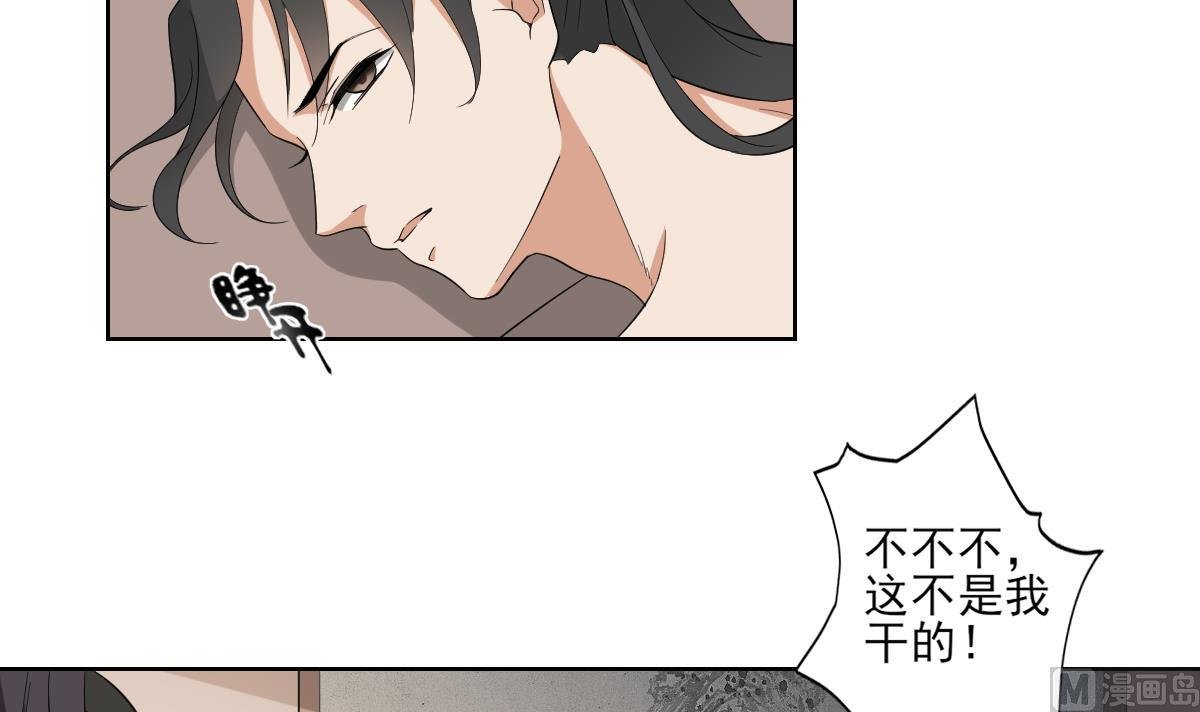 第48话 替身影卫