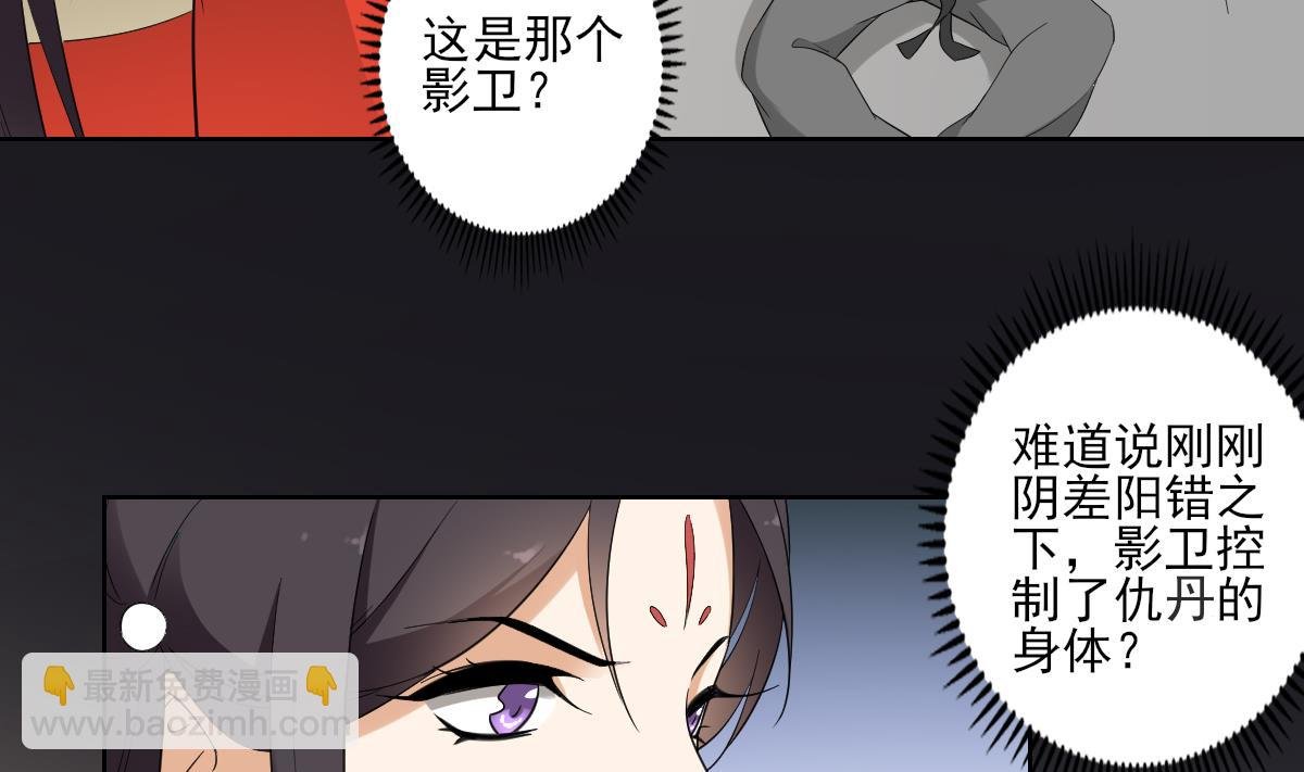 第48话 替身影卫