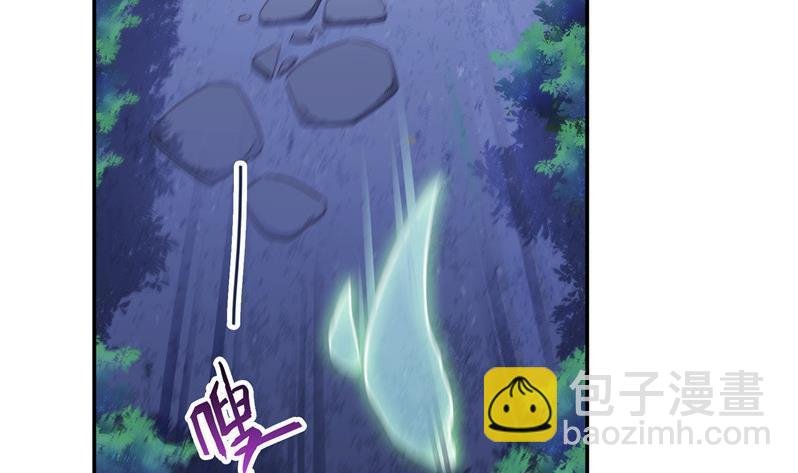 第110话 掌心雷