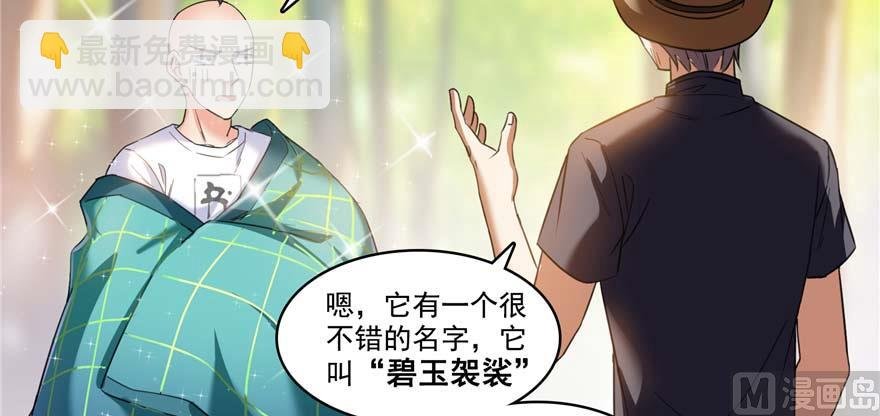 第247话 书航小友，你的袈裟