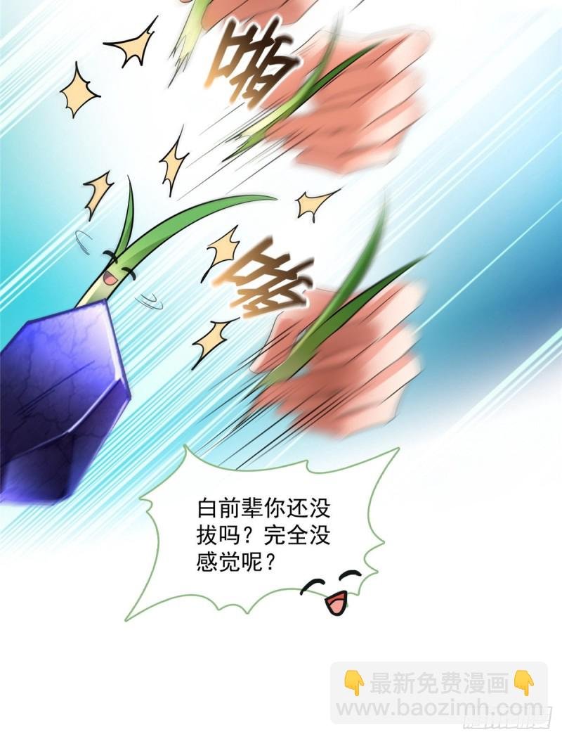 350 三浪前辈要火化！