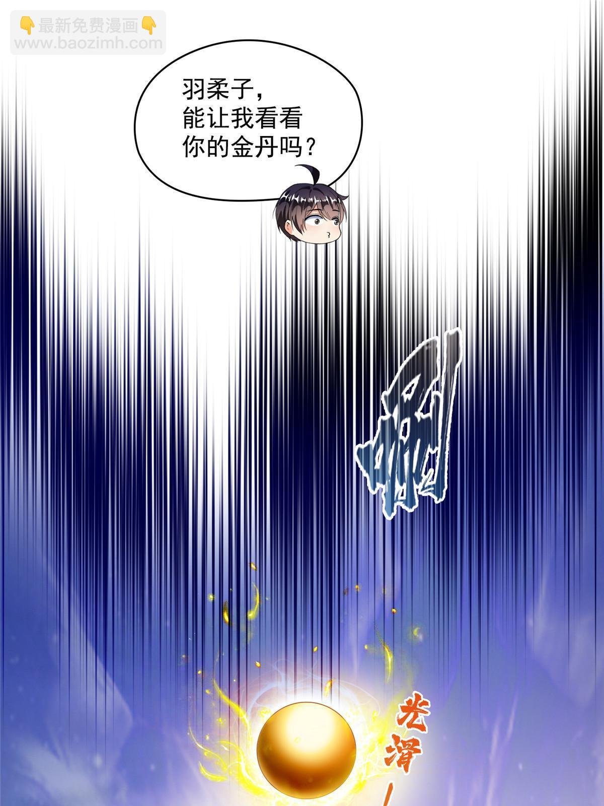 540 无龙纹金丹