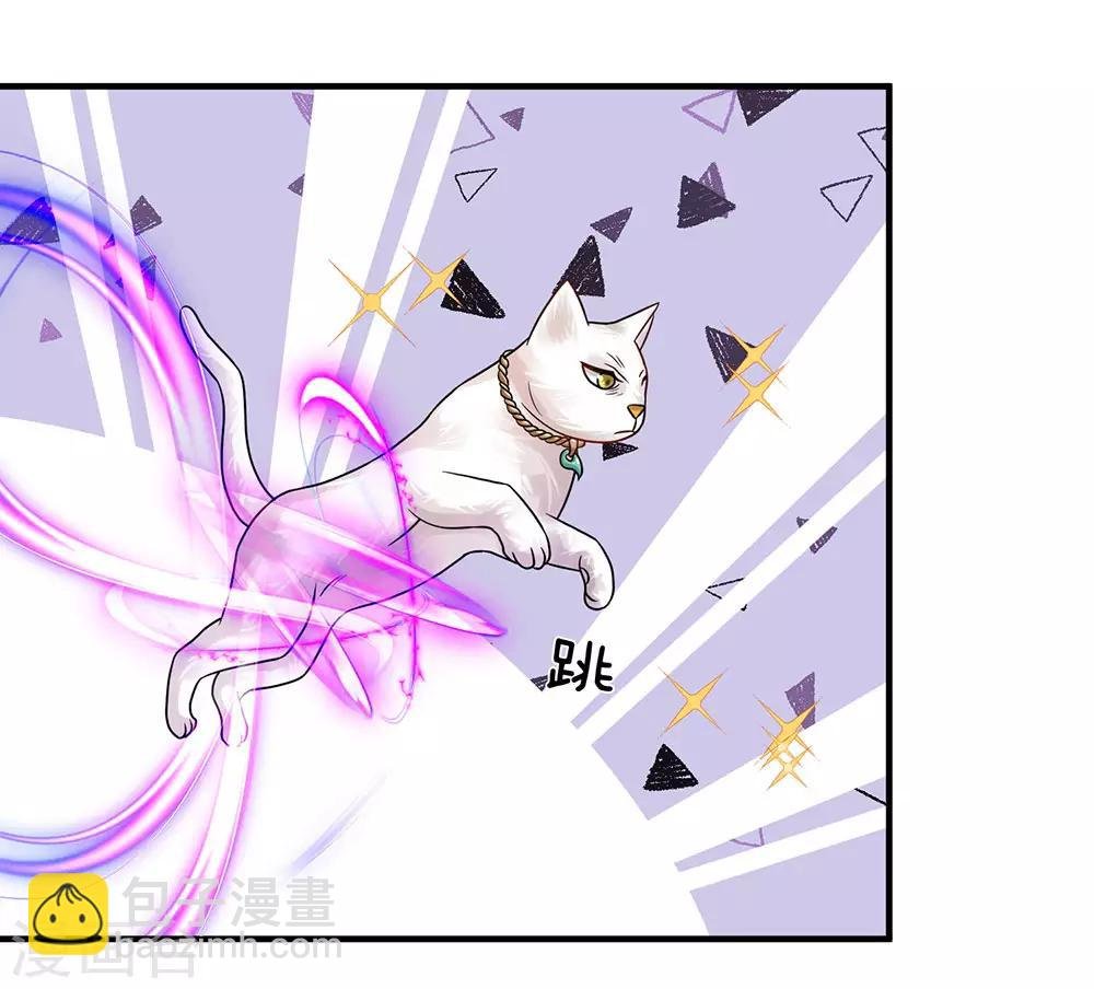 第101话 白猫吐人，以证清白